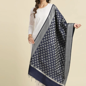 Banarasi Silk Dupatta with Silver Weaving