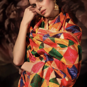 Women’s Phulkari Dupatta Chiffon and Multicoloured