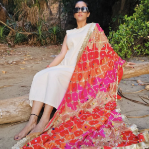 Multicoloured Embellished Chiffon Phulkari Dupatta