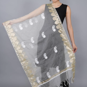 Chikankari Lucknowi Dupatta with Hand Embroidery and Zari Fabric